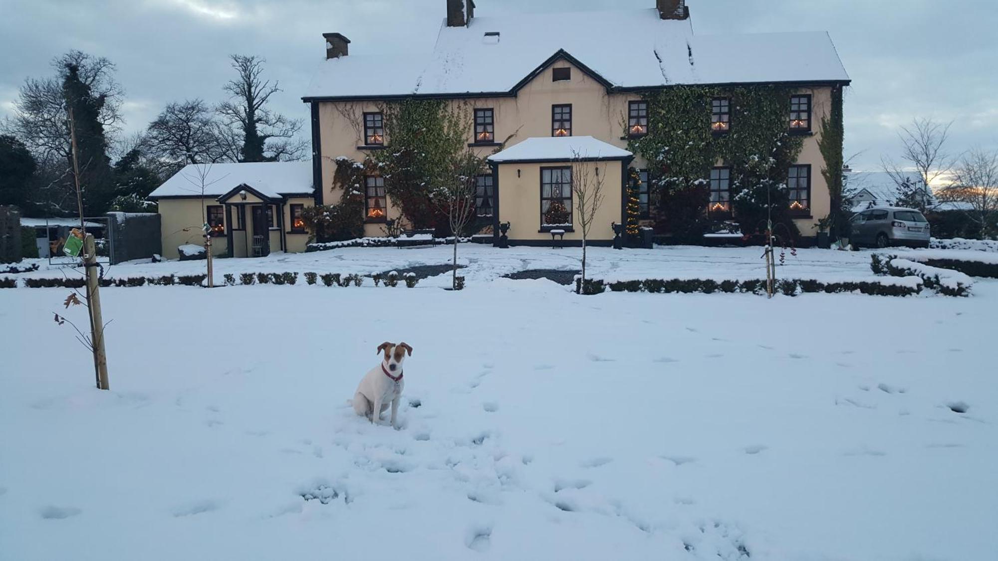 Charlotte'S Way B&B Banagher Bagian luar foto