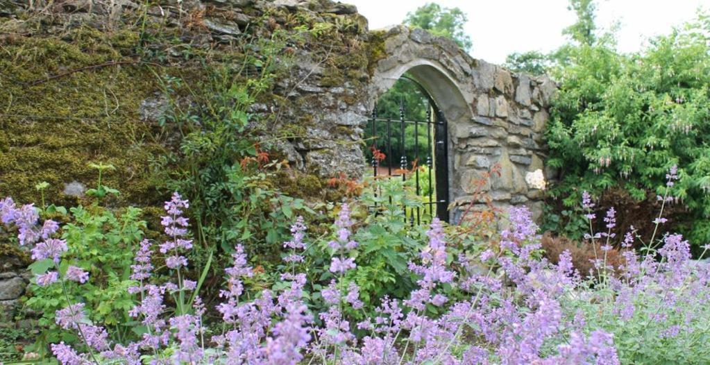 Charlotte'S Way B&B Banagher Bagian luar foto